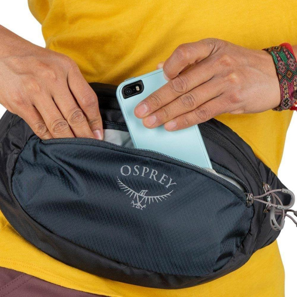 Сумка поясная Daylite Waist (black; 2 л)